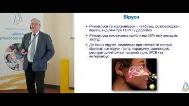 Сучасний погляд на вірусну інфекцію та імунну систему