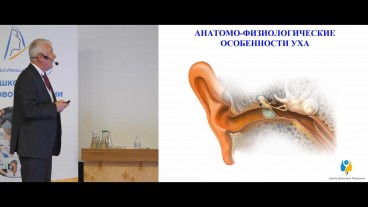 Анатомо-фізіологічні особливості вуха