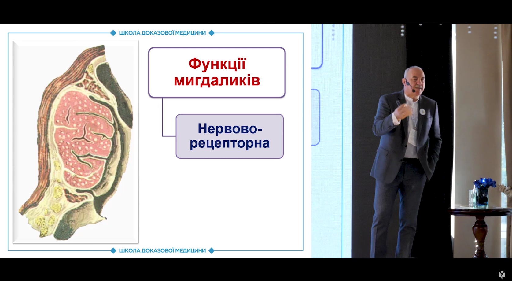 Функції мигдаликів та захворюваність на запальні захворювання глотки