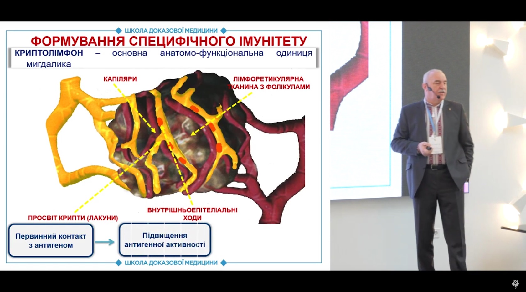 Функції мигдалика та захворюваність на запальні захворювання глотки