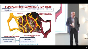 Функції мигдалика та захворюваність на запальні захворювання глотки