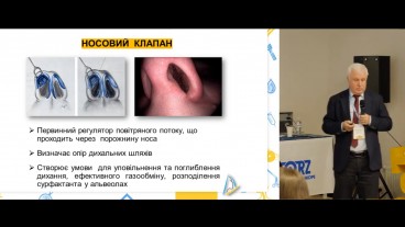 Ендоскопічна анатомія носової порожнини