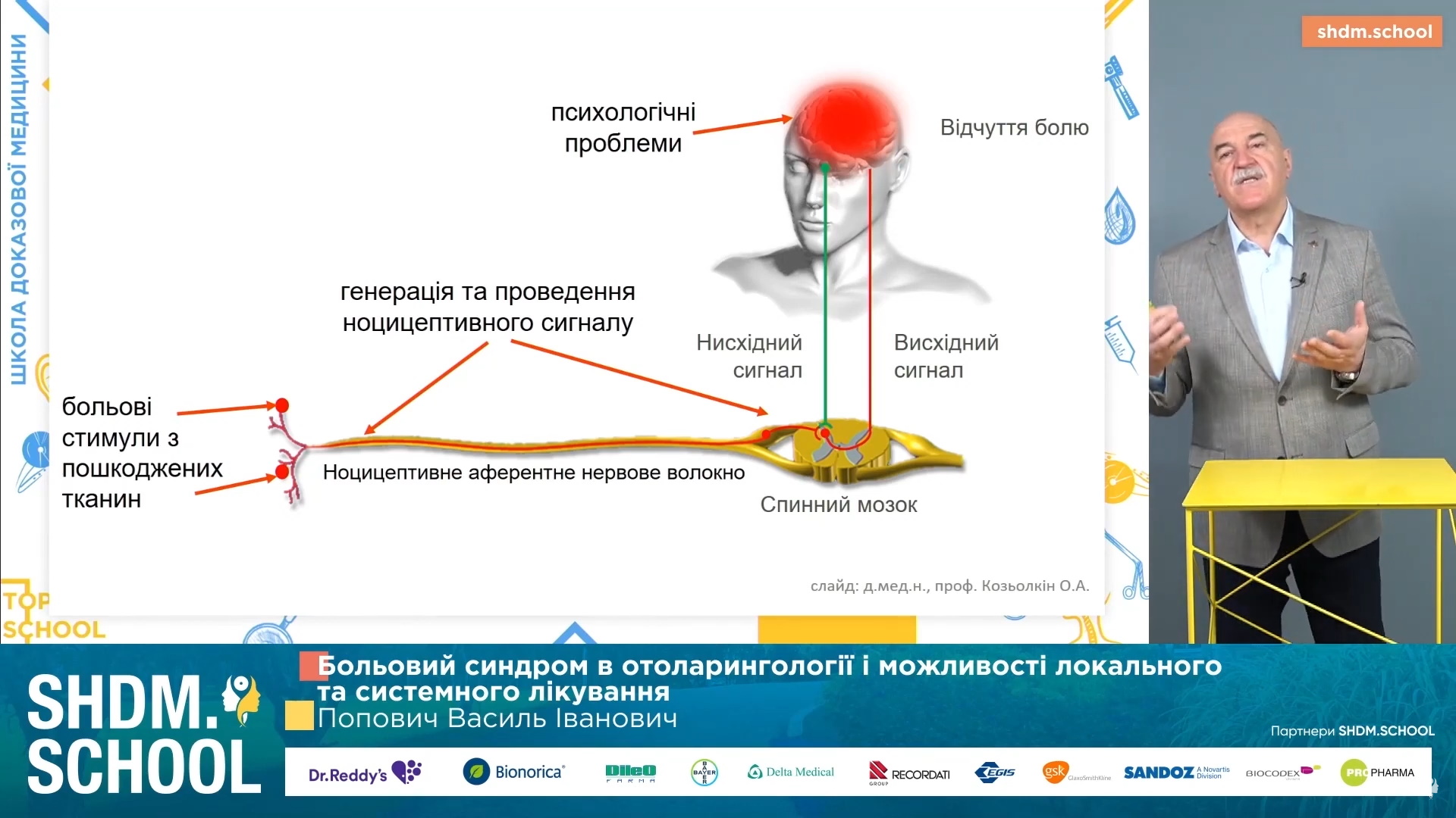 Больовий синдром в отоларингології та можливості локального і системного лікування
