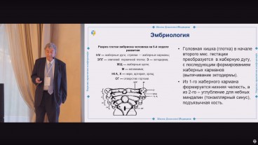 Чи є зв'язок мигдаликів з захворюваннями серця, нирок та інших органів