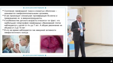 Особливості глоткового кільця у дітей. Деякі питання ембріології