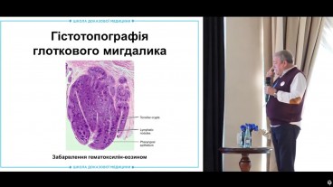 Гістотопографія глоткового мигдалика