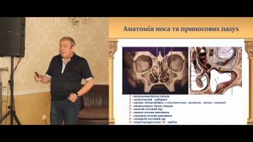 Поліпи носа: історія питання та анатомія