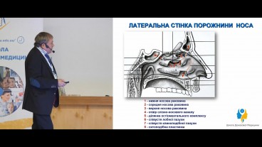 Будова латеральної стінки порожнини носа