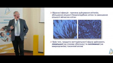 Післявірусний риносинусит та розвиток бактеріальної інфекції