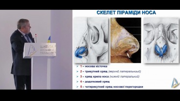 Анатомія та фізіологія носа та приносових пазух