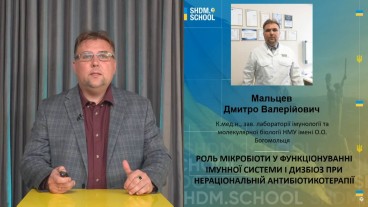Роль мікробіоти у функціонуванні імунної системи і дизбіоз при нераціональній антибіотикотерапії